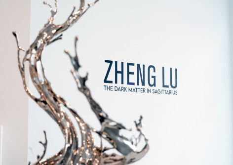Zheng Lu