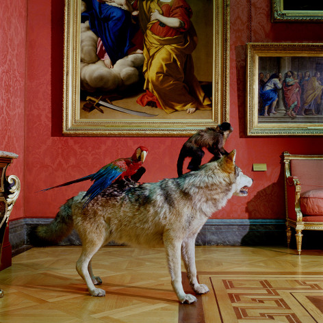 Karen Knorr, High Art Life after the Deluge, Wallace Collection, London, England, 2000, pigment print on Hahnemühle FineArt Photo Rag Baryta 315gsm paper, 122 x 122 cm (48 x 48 inches)