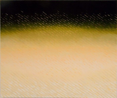 Joan Vennum, Curvature, 2007-2008, Oil on canvas, 60 x 72 inches