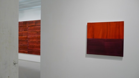 Ricardo Mazal: Violet
