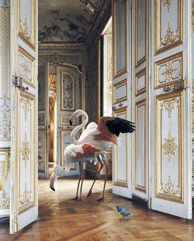 Karen Knorr, The Grand Monkey Room 2 (Château de Chantilly), 2006, colour pigment print on Hahnemühle Fine Art Pearl Paper, 35.4 x 27.6 inches/90 x 70 cm