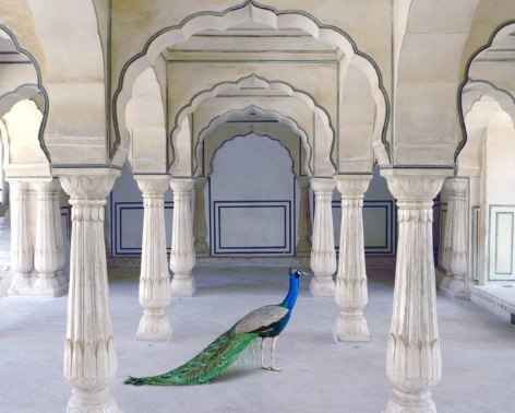 Karen Knorr, A Moment of Solitude, Amer Fort, Amer, 2021, colour pigment print on Canson Infinity Platine Fibre Rag Inkjet Paper, 24 x 30 inches/61 x 76.2 cm
