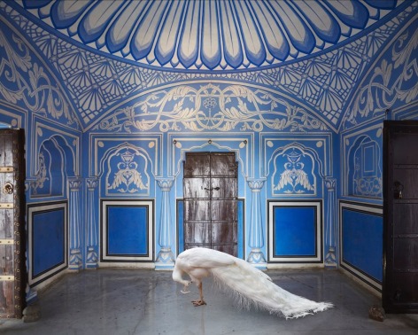 Karen Knorr, Ganesha’s Mount, Chavi Niwas, Jaipur, 2020, pigment print on Hahnemühle FineArt Photo Rag Baryta 315gsm paper, 80 x 100.1 cm (31.5 x 39.4 inches)