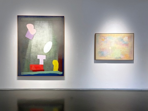 Robert Natkin: A Better Place