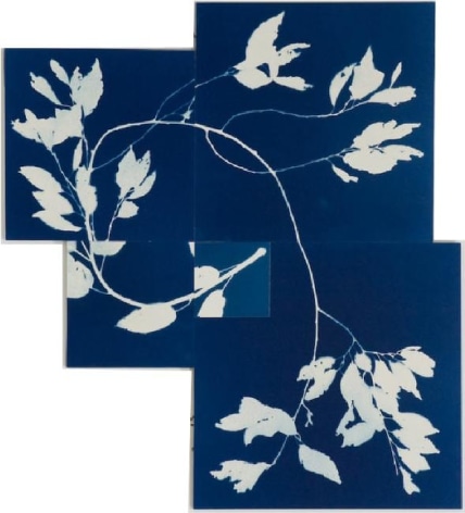 Susan Weil, Spiral Blue, 2007, Blueprint on paper,