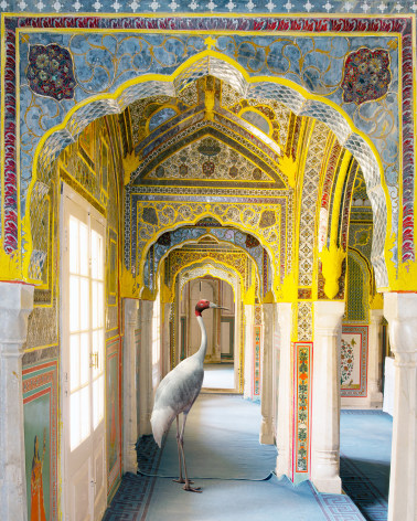 Karen Knorr, A Steadfast Friend, Zanana, Samode Palace, 2022, colour pigment print on Hahnemühle Fine Art Baryta 325gsm, 152.4 x 122 cm (60 x 48 inches)