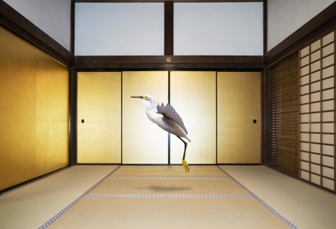 Karen Knorr, Form No Other than Emptiness, Obai-in, Kyoto, 2017, colour pigment print on Hahnemühle FineArt Photo Rag Baryta 315gsm, 54.1 x 80 cm (21.3 x 31.5 inches)