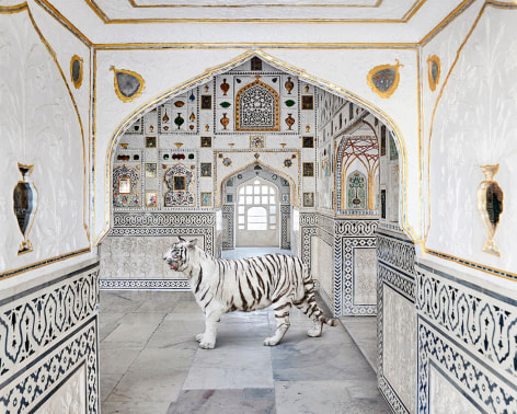 Karen Knorr, Tiger Breath, Sheesh Mahal, Amer Fort, 2020, colour pigment print on Canson Infinity Platine Fibre Rag Inkjet Paper, 24 x 30 inches/61 x 76.2 cm