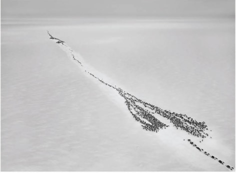 Sebasti&atilde;o Salgado, Ob River, Arctic Circle, 2011, gelatin silver print, 36 x 50 inches/91.4 x 127 cm