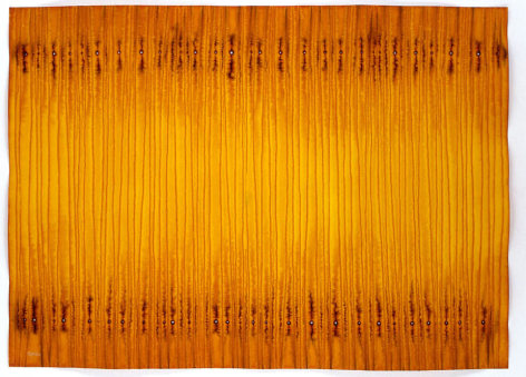 Smrti, 2007, Ink and dye on paper, 55 x 39&quot;