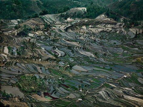 Edward Burtynsky,&nbsp;Rice Terraces #5, Western Yunnan Province, China, 2012,&nbsp;Chromogenic color print,&nbsp;48 x 64 inches/
