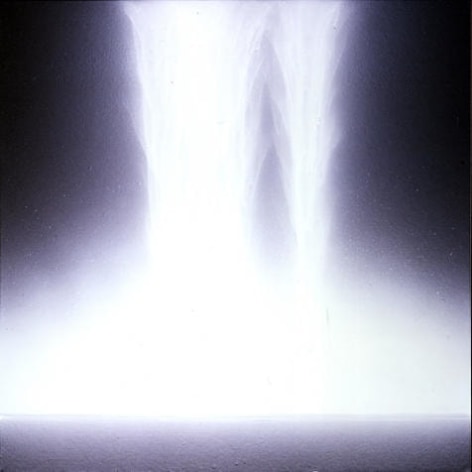 Hiroshi Senju Falling White, 2006