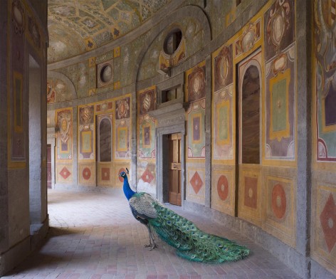 Karen Knorr, Heaven’s Vault, Villa Farnese, Caprarola, 2014, colour pigment print on Hahnemühle Fine Art Pearl Paper, 80 x 100 cm (31.5 x 39.4 inches)