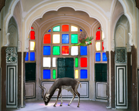 Karen Knorr, Krishna’s Crown, Jawa Mahal, Jaipur, 2016, pigment print on Hahnemühle FineArt Photo Rag Baryta 315gsm paper