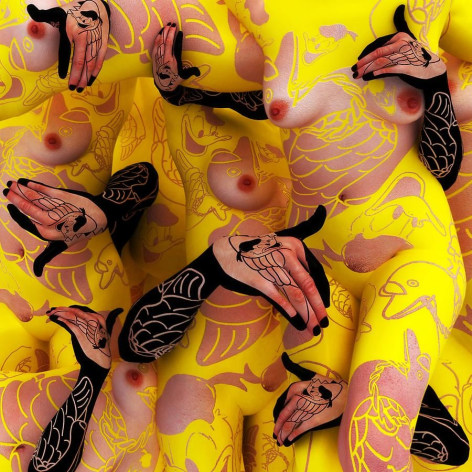 bird land-donald duck, 2008, digital print, 120cm x120cm