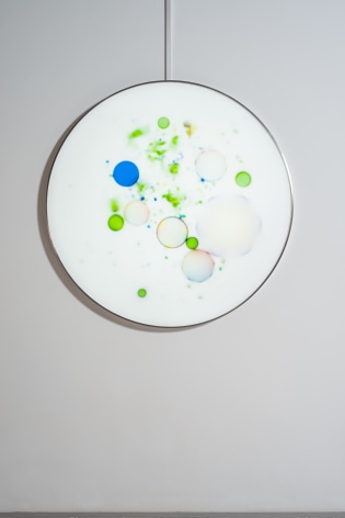 Milk Bacteria, 2019, lightbox, collection-grade digital micro-jet, 47.2 inches/120 x 120 cm