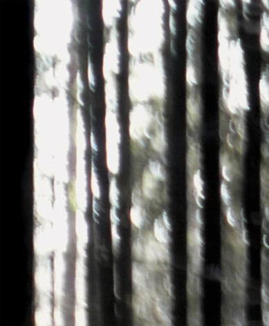ODENWALD 1152 PH1, Pigment ink print on paper, 30 x 24"
