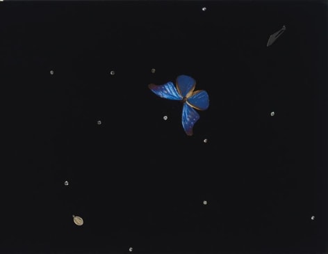 Damien Hirst