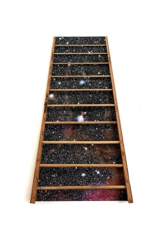 Barton&#039;s Ladder, 2012, inkjet &amp;amp; wood on canvas, 60 x 37 x 3.5 inches
