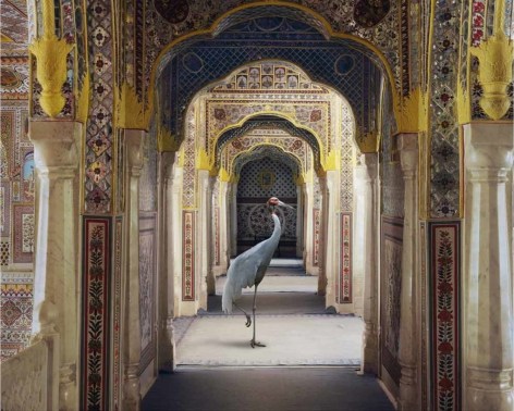 Karen Knorr, The Holding of Vigilance, Samode Palace, 2010, pigment print on Hahnemühle FineArt Photo Rag Baryta 315gsm paper, 80 x 100.1 cm (31.5 x 39.4 inches)