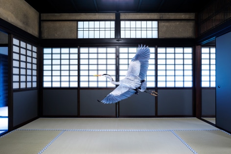 Karen Knorr, Intoxicated by the Moonlight, Obai-in, Kyoto, 2017, colour pigment print on Hahnemühle FineArt Photo Rag Baryta 315gsm, 101.4 x 151.9 cm (39.9 x 59.8 inches)