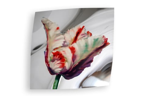 Martin C. Herbst | Galerie LeRoyer