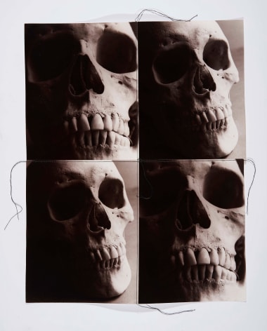 Four Skulls, 1995, Silver Gelatin Photograph Collage with fiber strand