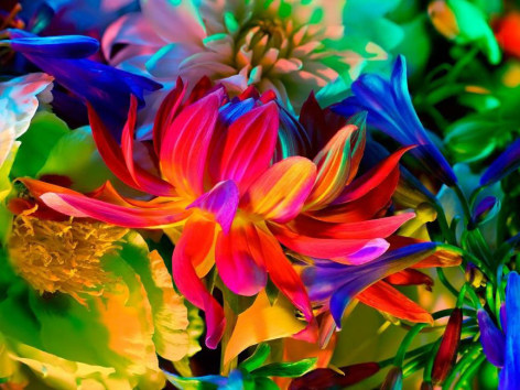 Electric Blossom #363, 2012, 18 X 23 inches, Archival Pigment Print, Edition of 10