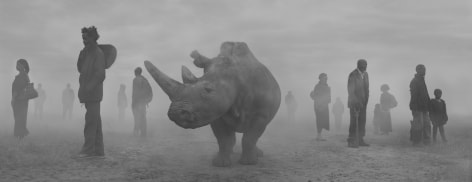 Najin and People in Fog, Kenya, 2020, Archival Pigment Print