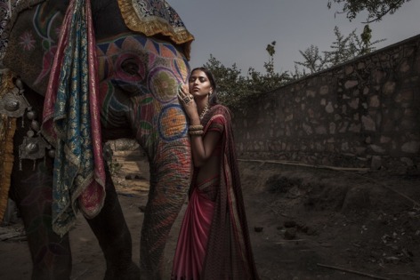 Matali 16, Rajashtan, India, 2015, Archival Pigment Print