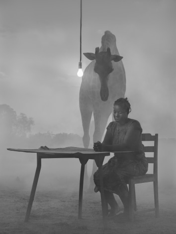 Kuda and Sky II, Zimbabwe, 2020, Archival Pigment Print