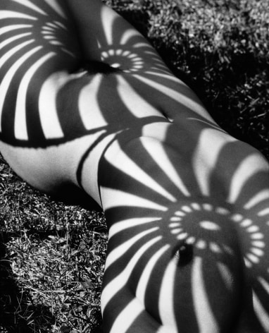 Neith with Shadows (Front), Poundridge, 1985, 16 x 20 Inches, Toned Silver Gelatin Photograph, Edition of 25