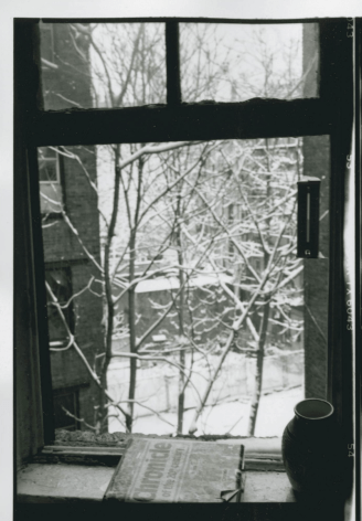 Kitchen Window Winter, February 3, 1996, Archival Pigment Print, Ed. of 25
