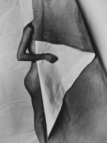 Nude Shapes, 2016, Archival Pigment Print, Combined Ed. of 10