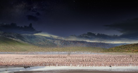 Lesser Flamingos, Lake Bogoria, Kenya, 2017, C-Type Print