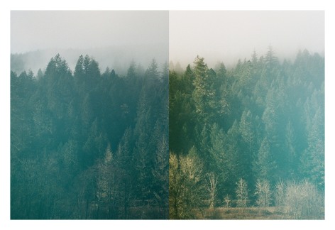 Oregon Fog, 2020, Archival Pigment Print