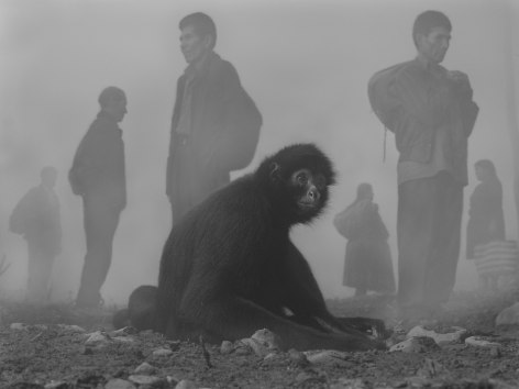 Pimienta and People in Fog, Bolivia, 2022, Archival Pigment Print