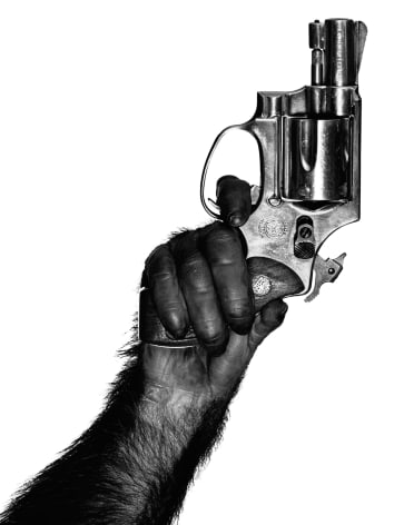 Monkey with Gun, New York City, 1992, Archival Pigment Print
