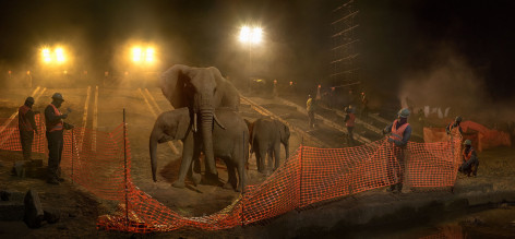 Highway Construction with Elephants, Workers &amp;amp; Fence, 2018., Archival Pigment Print