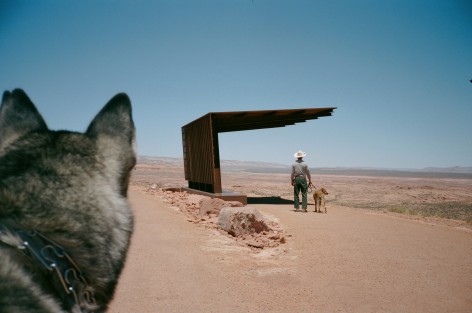 Watching Arizona, 2020, Archival Pigment Print