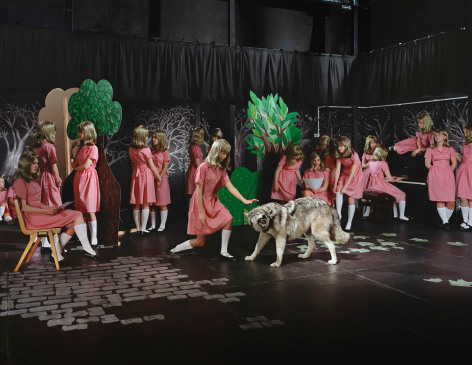 Wolf in theatre, 2007, C-Print