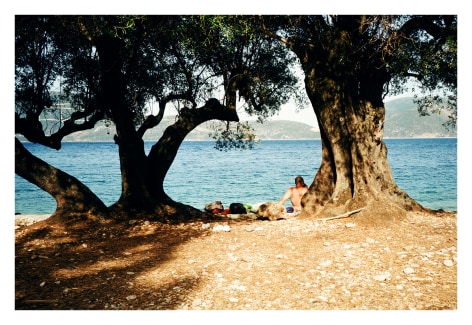 Tree Vignette on a Kefalonian Beach, 2021, Archival Pigment Print