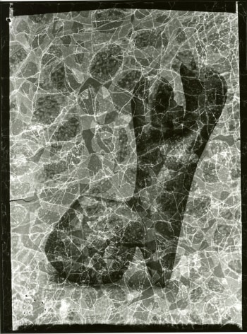 Crackled photograph of a vase by Valentine Schelegel, Paris, ca. 1958, Silver Gelatin Photograph