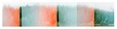 Trees across the river, (3 frames), 2020, Archival Pigment Print