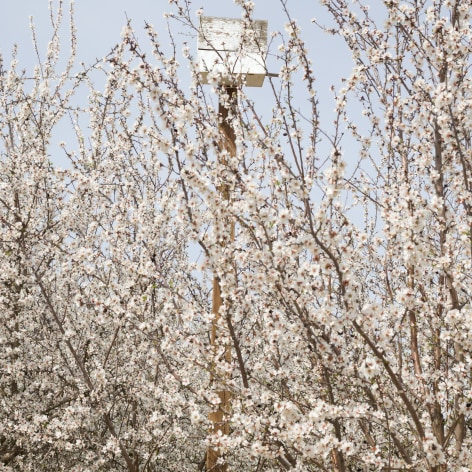 Birdhouse, 2017, Archival Pigment Print