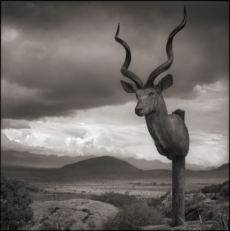 Kudu Trophy, Chyulu Hills, Kenya, 2012, 22 x 22 Inches, Archival Pigment Print, Edition of&nbsp;20