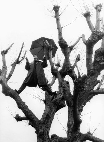 Untitled (Man with Umbrella in Tree Vertical), Paris, 1992, Archival Pigment Print