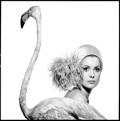 Catherine (with flamingo), Vogue, 1966, Archival Pigment Print, Ed. of 15