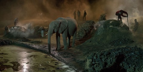 Charcol Burning with Elephant, 2018, Archival Pigment Print