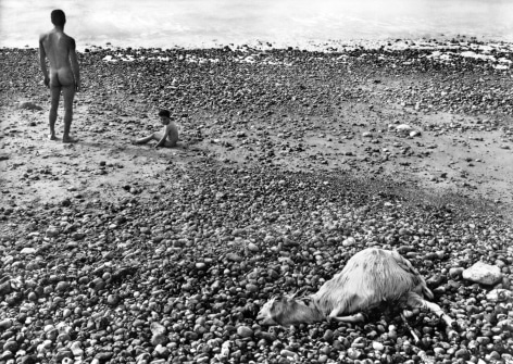 Ulysse, Saint-Aubin-sur-Mer, Normandy, 1954, Silver Gelatin Photograph, Ed. 10/10